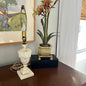 Decorative lamp and potted plant on a wooden surface with a painting in the background.