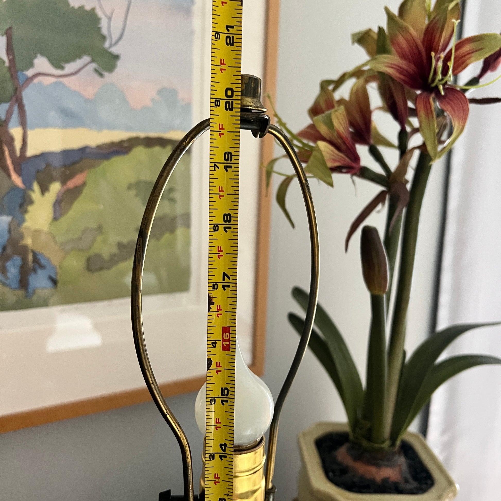 Light bulb with a ruler next to it, potted plant in the background