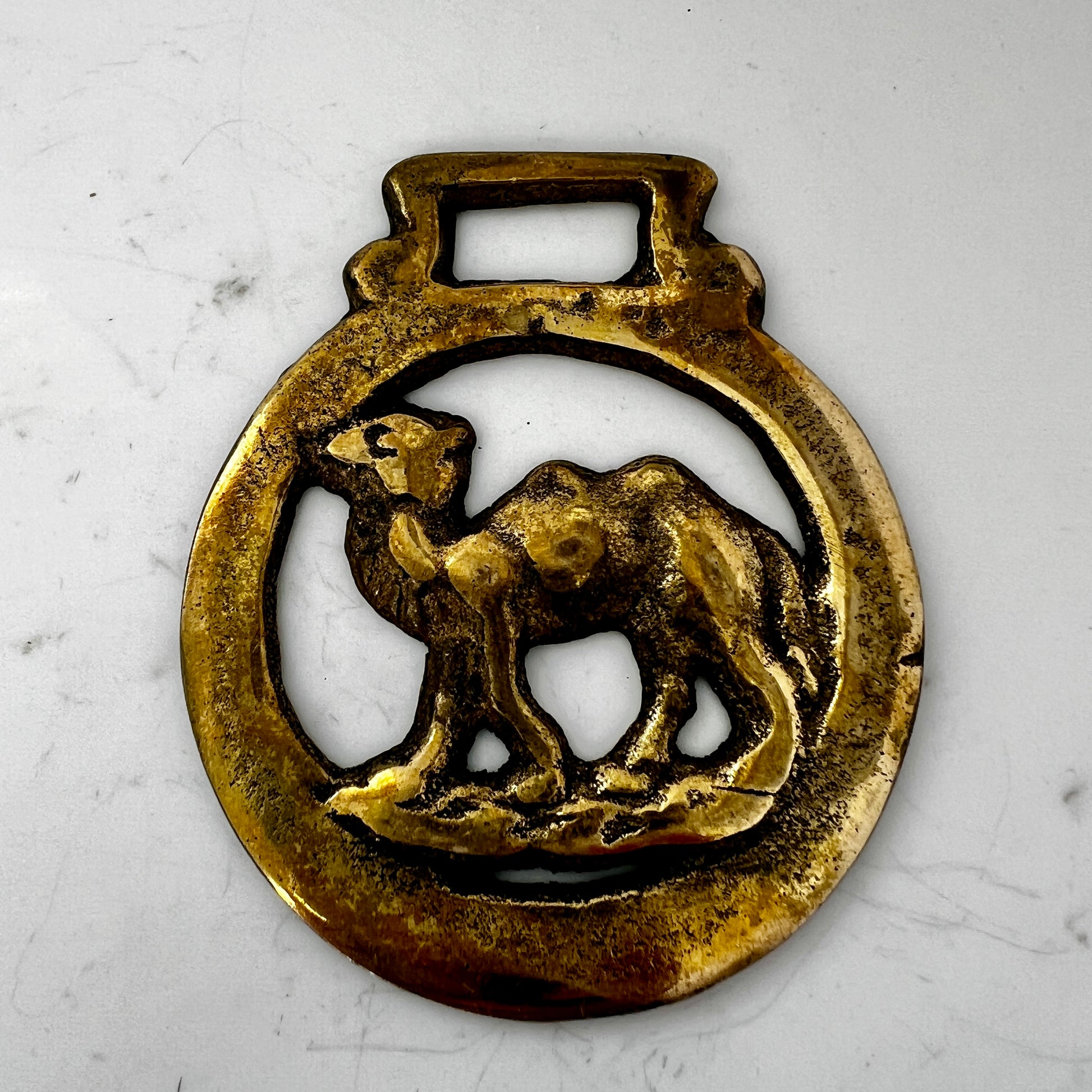 Vintage camel horse brass medallion on marble surface