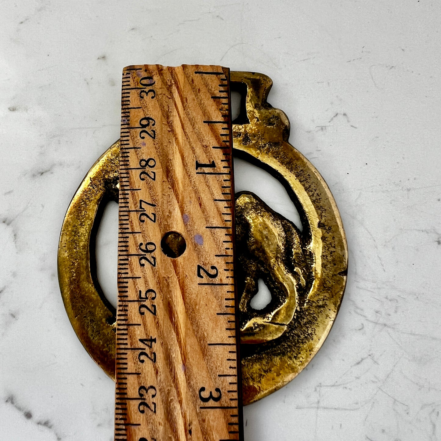 Vintage camel horse brass medallion with ruler for measure on white background
