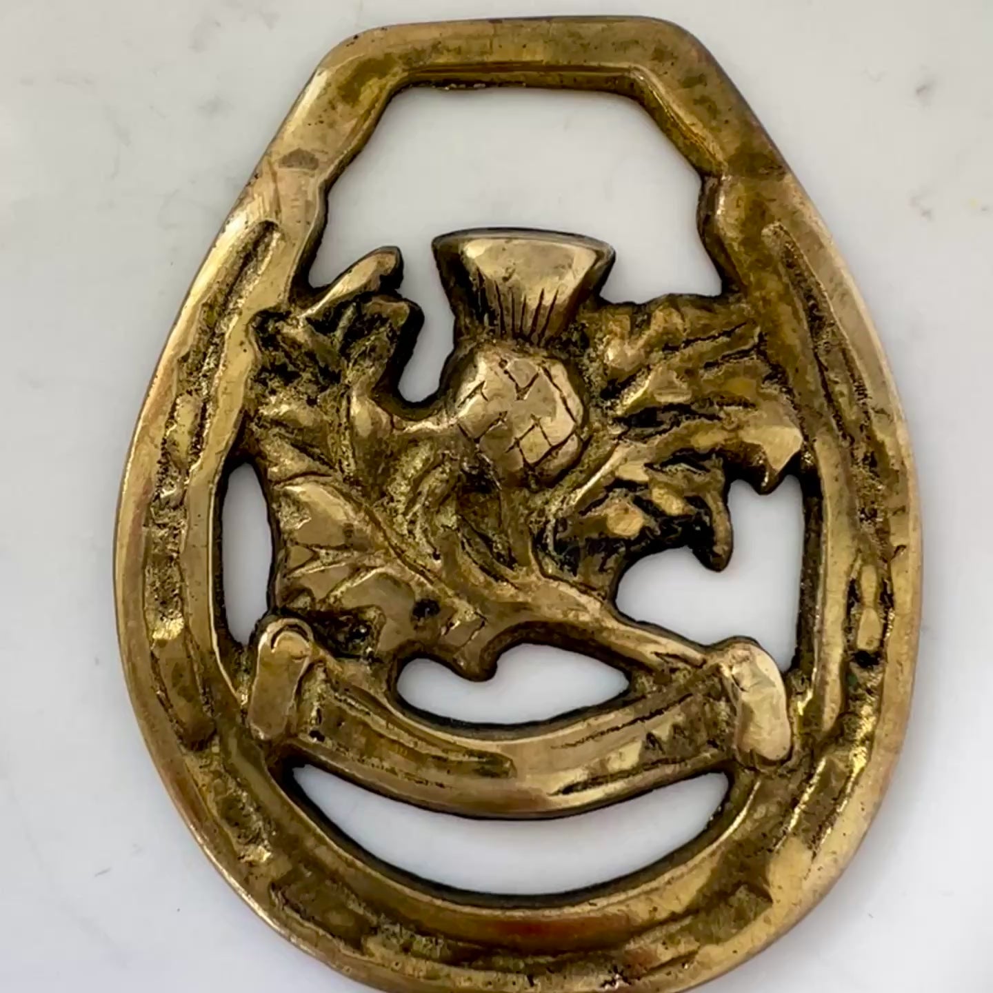 Video of Vintage brass Scottish thistle medallion necklace 