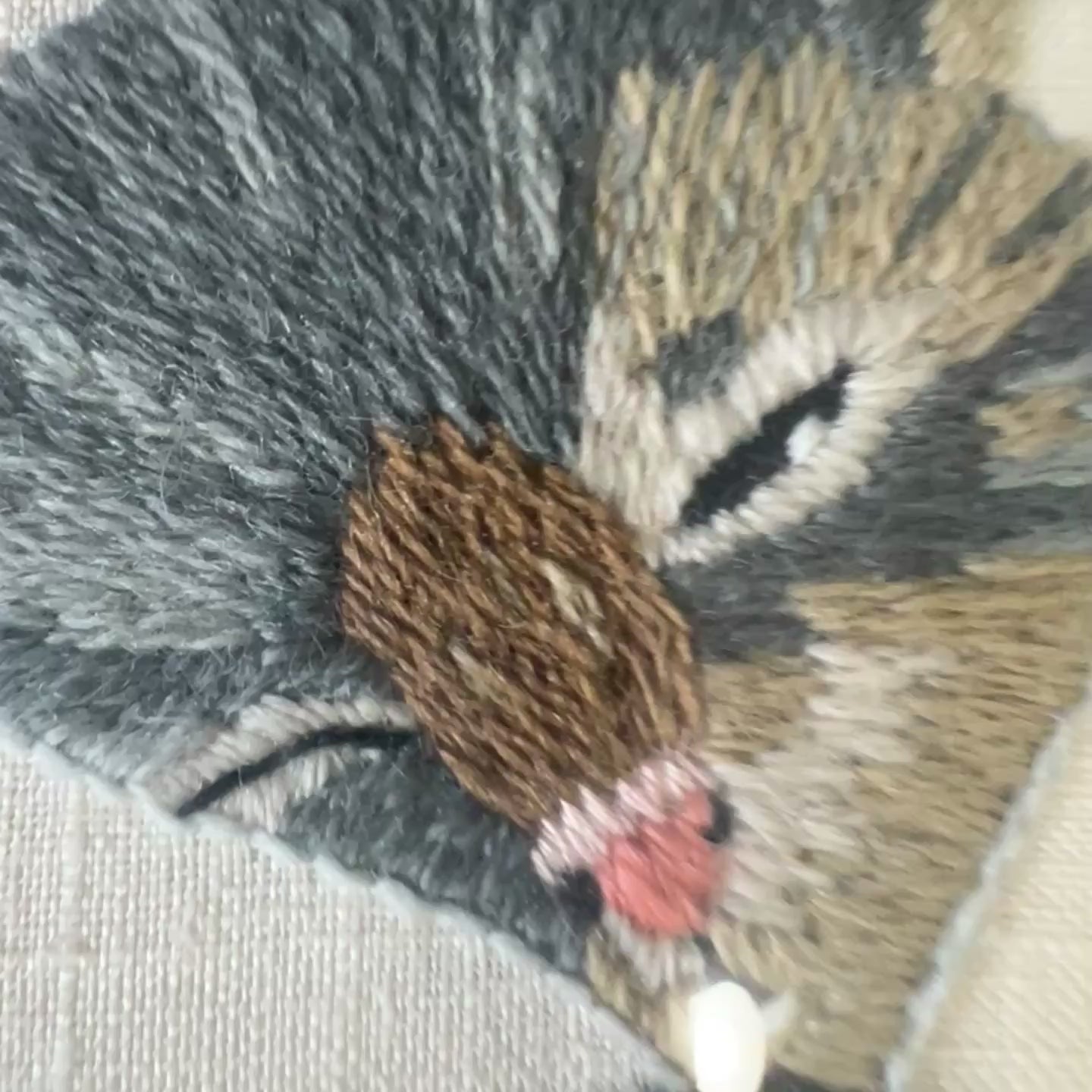 Video of Erica-Wilson-Playmates-Crewel-Embroidery-Cat-Sleeping