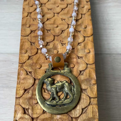 video of Camel Brass medallion on wooden surface 